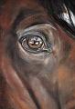 cheval detail 5
